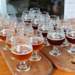 St. Augustine Brewery Tours - Plenty of samples for everyone.