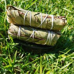 Rooted Vibrationz - Eucalyptus bundle, Bring in New fresh energy. Great for relieving Cough and congestion.