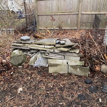 Roman Tree Services - Before with all this junk. - Tree Services Near Me