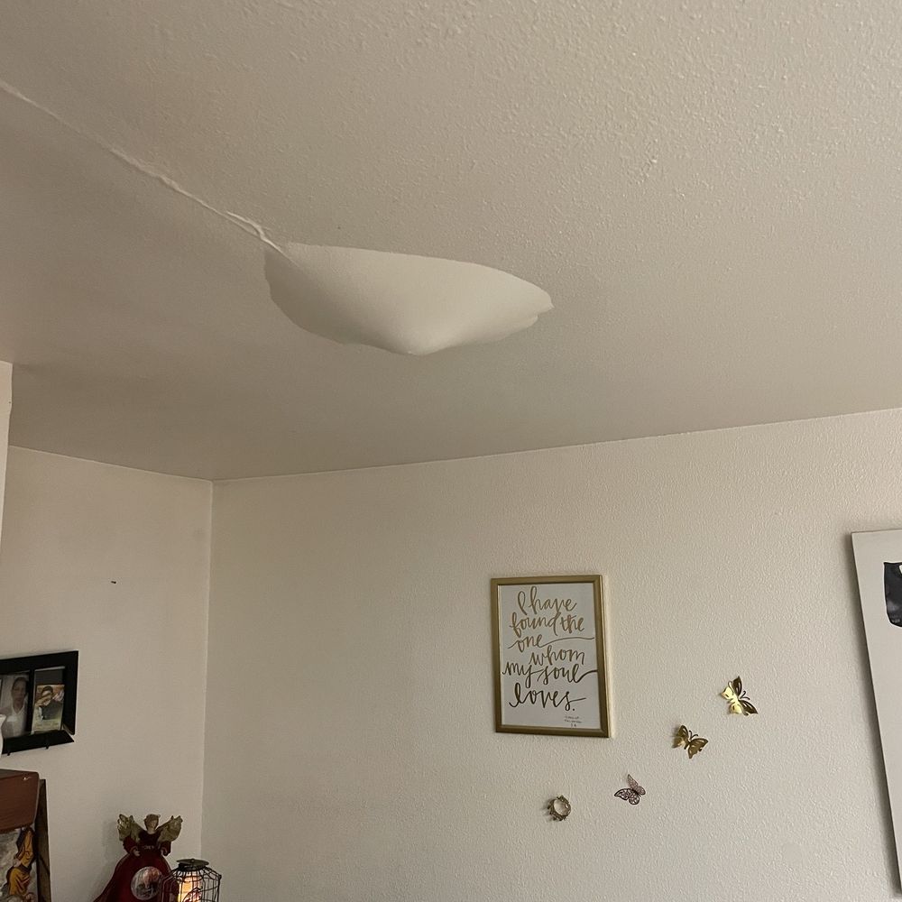 Mario Bros Plumbing - Water leaking through ceiling - Plumbing Near Me Mario Bros Plumbing - Water leaking through ceiling - Plumbing Near Me