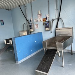 Dog Gone Clean Car and Pet Wash - Two large tubs