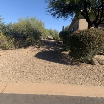Skyline Pool Services - Javelina - Pool Cleaners Near Me