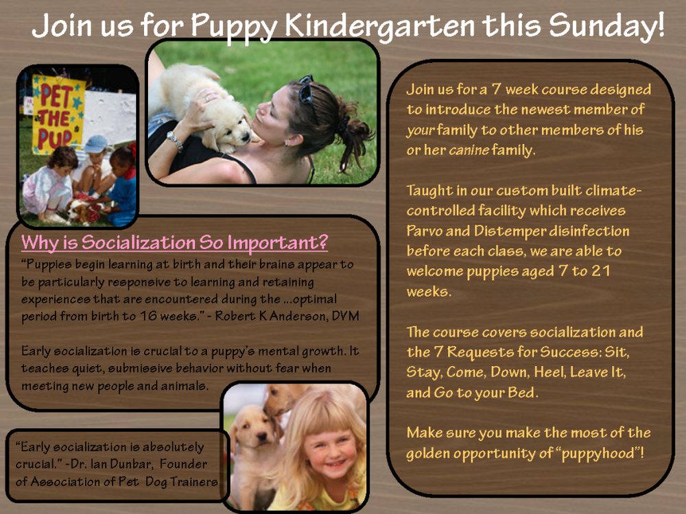 Karma Dog Training - pet boarding facility in Fort Worth, TX