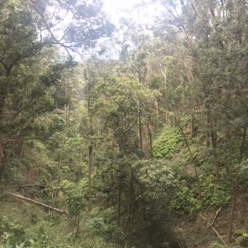 Aiea Loop Trail - Hiking Near Me - Aiea, Hawaii