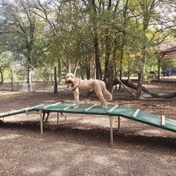 Lady Bird Johnson Dog Park