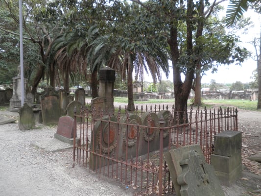 Camperdown Cemetery by null