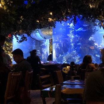 Rainforest Cafe - American Near Me - Sunrise, Florida Rainforest Cafe - American Near Me - Sunrise, Florida