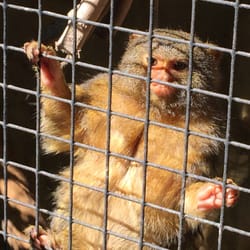 Tierpark Wels