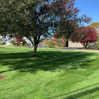 Regulated Turf Solutions - Artificial Turf Near Me Regulated Turf Solutions - Artificial Turf Near Me