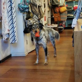 Jewelius - Everything is soo adorable in this store including Bamboo! - Accessories Near Me - Denver, Colorado Jewelius - Everything is soo adorable in this store including Bamboo! - Accessories Near Me - Denver, Colorado