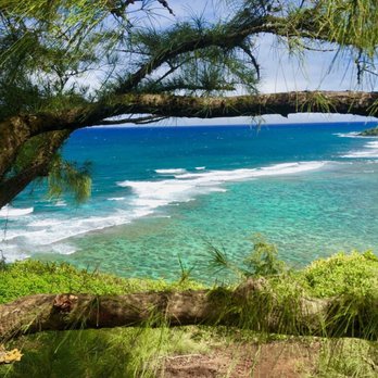 Kauai Photo Tours - Tours Near Me - Kapaa, Hawaii