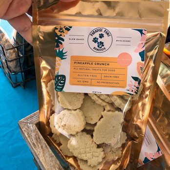 Paradise Pawz - a person holding a bag of cookies - Pet Stores Near Me - Kailua, Hawaii Paradise Pawz - a person holding a bag of cookies - Pet Stores Near Me - Kailua, Hawaii