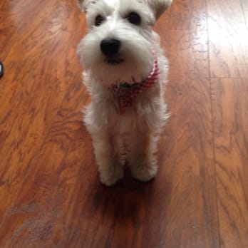 Furtastic Grooming - Pet Groomers Near Me - Albuquerque, New Mexico