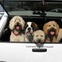 Photo of A Faithful Companion