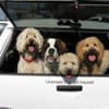 A Faithful Companion gift card