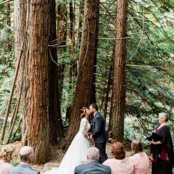 Jewel In the Forest - Art Classes Near Me Jewel In the Forest - Art Classes Near Me