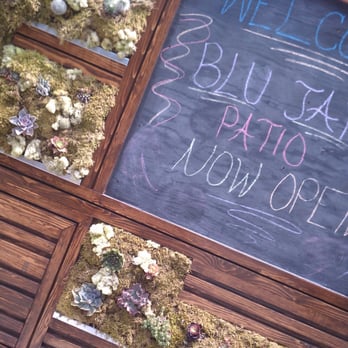 Blu Jam Cafe - Love the plants in the patio area... - Breakfast & Brunch Near Me - Sherman Oaks, California Blu Jam Cafe - Love the plants in the patio area... - Breakfast & Brunch Near Me - Sherman Oaks, California