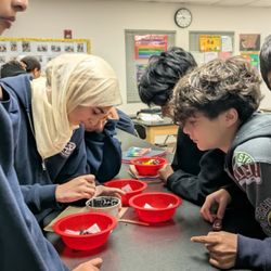 New Horizon School - 7th graders in our science lab observing worms.