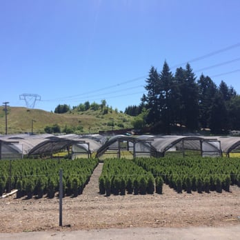 Farmington Gardens - Nurseries & Gardening Near Me - Beaverton, Oregon Farmington Gardens - Nurseries & Gardening Near Me - Beaverton, Oregon