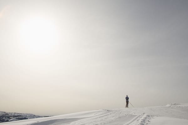 Royal Gorge Cross Country Ski Resort by null