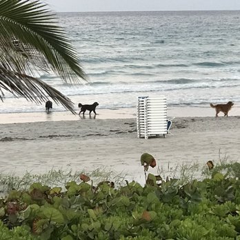 Latitudes - Seafood Near Me - Highland Beach, Florida
