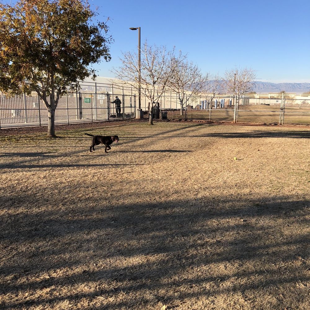 Horizon Crest Park - My lab enjoying her run of the park. - Parks Near Me - Henderson, Nevada Horizon Crest Park - My lab enjoying her run of the park. - Parks Near Me - Henderson, Nevada