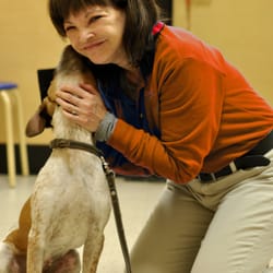 East Bay Dog Spot - Working with dogs of all ages and their owners is the most rewarding career I could ever ask for!