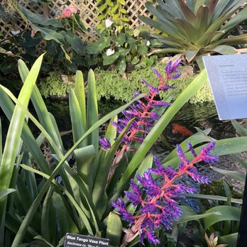 Lincoln Park Conservatory - Parks Near Me - Chicago, Illinois