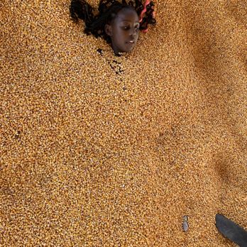 Pinehaven Farm - Corn pit. - Venues & Event Spaces Near Me - Wyoming, Minnesota Pinehaven Farm - Corn pit. - Venues & Event Spaces Near Me - Wyoming, Minnesota