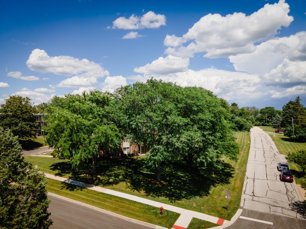 WELLINGTON CREEK APARTMENTS Updated June 2024 Request Information