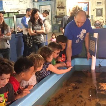 Biomes - Aquariums Near Me - North Kingstown, Rhode Island