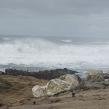 Bird Rock - Beaches Near Me - Pebble Beach, California