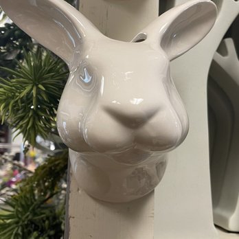 Arts & Flowers - Darn cute wall rabbit planter - Florists Near Me - Minneapolis, Minnesota Arts & Flowers - Darn cute wall rabbit planter - Florists Near Me - Minneapolis, Minnesota