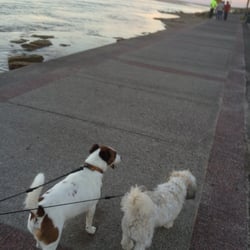 Maroubra Beach - Going for a stroll