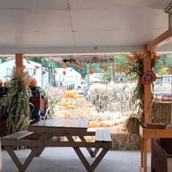 Peach King Orchards