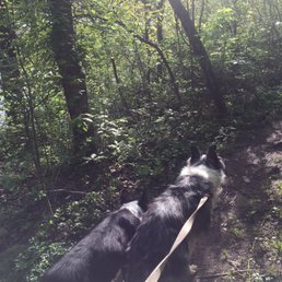 Nice easy hike w the mutts. Nice break after long long drive Nice easy hike w the mutts. Nice break after long long drive