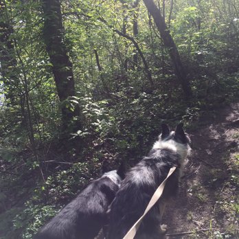 Kill Creek Park - Nice easy hike w the mutts. Nice break after long long drive - Parks Near Me - Olathe, Kansas Kill Creek Park - Nice easy hike w the mutts. Nice break after long long drive - Parks Near Me - Olathe, Kansas