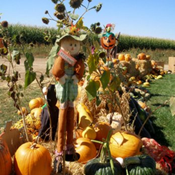 Zippity Zoo Barnyard - Zippity Zoo Pumpkin Patch Oct T,F,S,S 10 am - 6 pm - Zoos Near Me - Loveland, Colorado Zippity Zoo Barnyard - Zippity Zoo Pumpkin Patch Oct T,F,S,S 10 am - 6 pm - Zoos Near Me - Loveland, Colorado