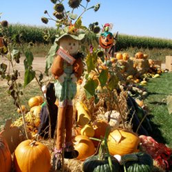 Zippity Zoo Barnyard - Zippity Zoo Pumpkin Patch Oct T,F,S,S  10 am - 6 pm