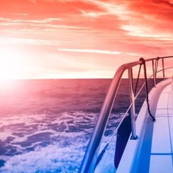 Cruisin With Susan Travel