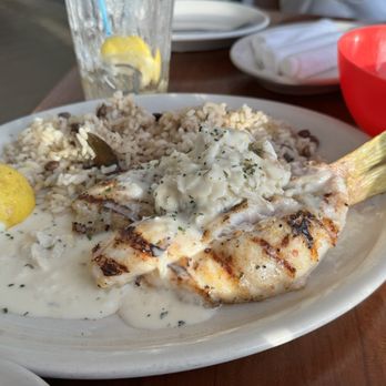 Coconuts - Snapper and Crab with Pigeon Peas And Rice - Seafood Near Me - Fort Lauderdale, Florida Coconuts - Snapper and Crab with Pigeon Peas And Rice - Seafood Near Me - Fort Lauderdale, Florida