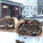 Photo of Sewards Steak Shop