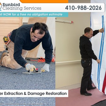 Sunbird Carpet Cleaning Columbia - Water Damage Repair - Carpet Cleaning Near Me Sunbird Carpet Cleaning Columbia - Water Damage Repair - Carpet Cleaning Near Me