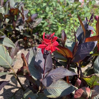 Houston Botanic Garden - Venues & Event Spaces Near Me - Houston, Texas Houston Botanic Garden - Venues & Event Spaces Near Me - Houston, Texas