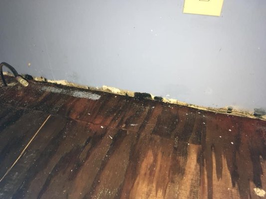 Salter's Construction