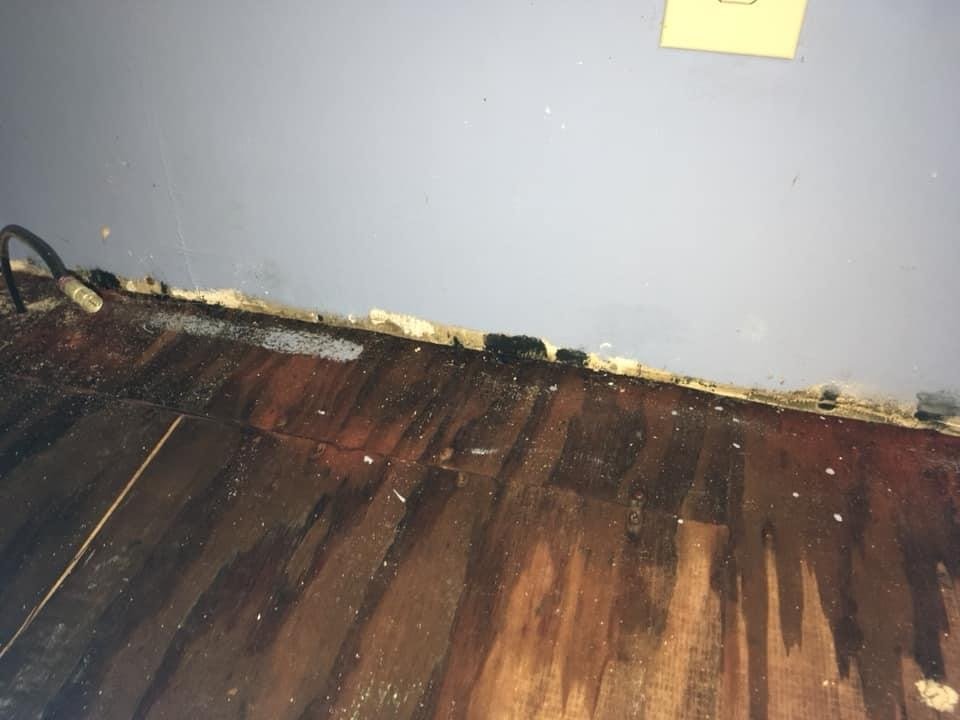 Slide of Salter's Construction