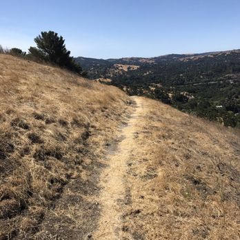 Acalanes Ridge Recreation Area - Parks Near Me - Walnut Creek, California
