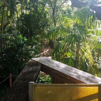 Earth N Us Farm - Tree house view - Community Service/Non-Profit Near Me - Miami, Florida Earth N Us Farm - Tree house view - Community Service/Non-Profit Near Me - Miami, Florida