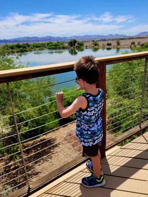 Henderson Bird Viewing Preserve by null