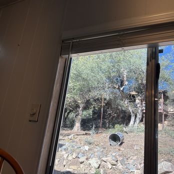Bob's Tree and Landscaping - This is wild. One of the gentlemen was in the tree. He scaled it like he was a performer in Cirque du Soleil! - Landscaping Near Me - Camp Verde, Arizona